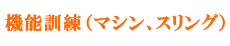 三島、富士デイサービス機能訓練